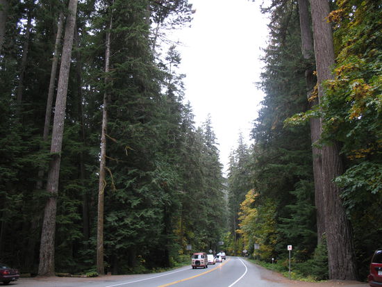 Eine Straße durch Vancouver Island