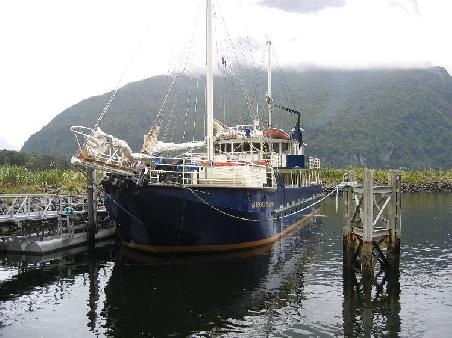 Milford Wanderer