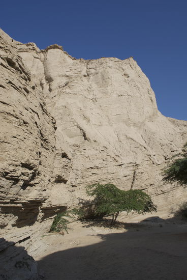 Wandern im Wadi auf Insel Qeshm