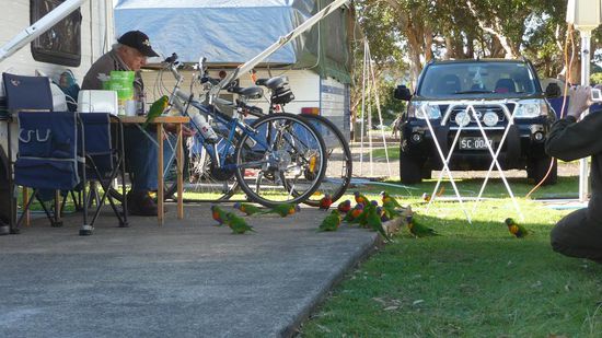 Der Vogel-Flüsterer