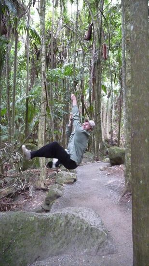 Baumelnd an der Liane