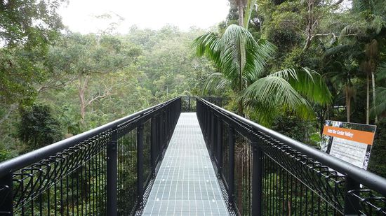 Unterwegs in Augenhöhe mit den Baumkronen