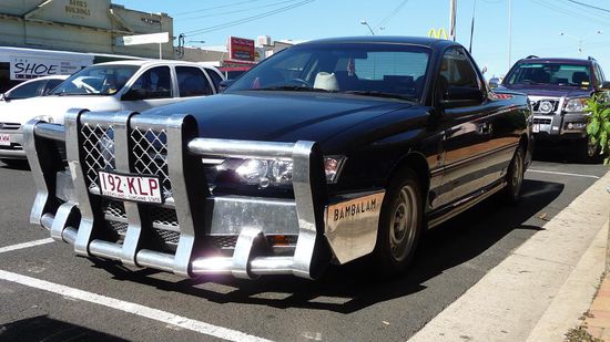 Der wahrscheinlich größte Bullfänger der Welt (zumindest für PKWs)