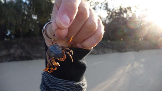 Philipp hat mal wieder was gefunden! Aber leider schon tot!