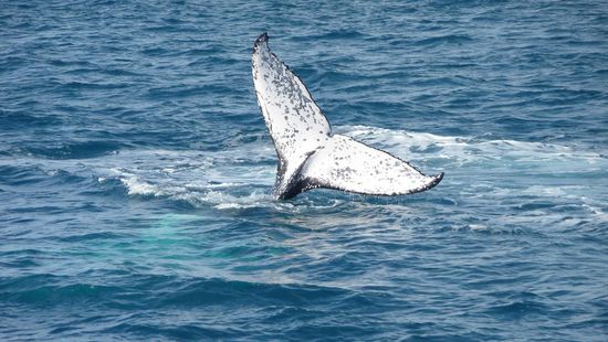 Keine Postkarte...reales Bild von uns! Sehr Geil!