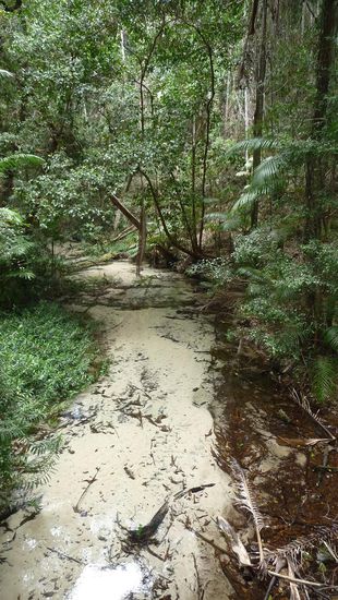 Dies ist kein sandiger Trampelpfad, sondern ein glasklarer Bachlauf
