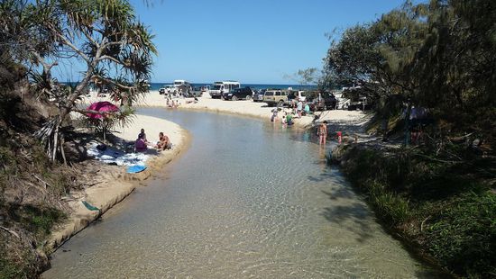 Der Eli-Creek, ein sehr beliebtes Ausflugsziel