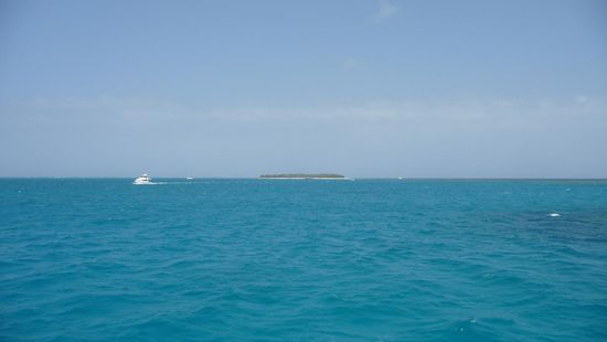 Da ist sie schon zu sehen...