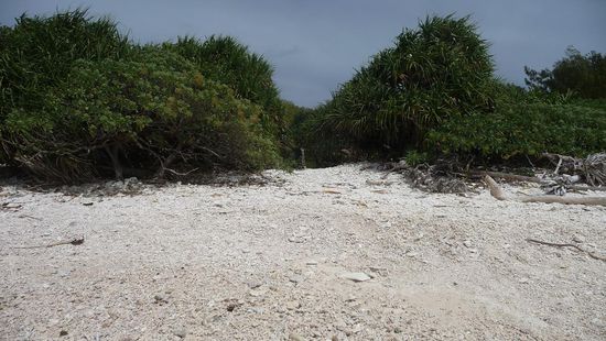 So sah es dann aus...