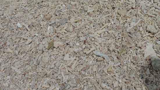 ...leider erst mal nur tote Korallen anstatt weißem Sand!