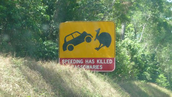 Gesehen haben wir leider keine, obwohl die Ortschaft voll mit solchen Warnschildern war.