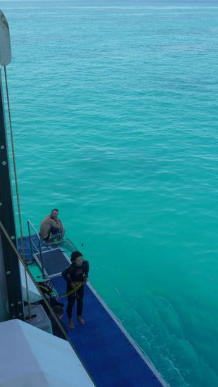 Schnorcheln macht schon müde...