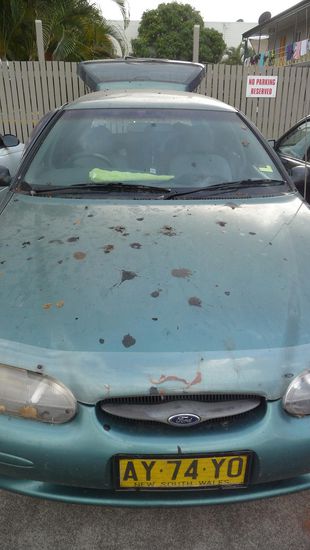 Leider haben wir einen Tag zuvor unter einen Baum gestanden. Und ADAM wurde schön voll gekackt. Sah natürlich nicht so gut aus, so in die Werkstatt zu fahren. Aber nein, er wird nicht gewaschen!