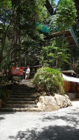 Nun machte sich der Kleine auf den Weg nach Oben!!!