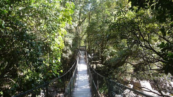 Diese Brücke konnten wir leider nicht überqueren ,sie war aus Sicherheitsgründen gesperrt...