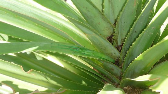 Genau hin schauen, da ist noch was!!!