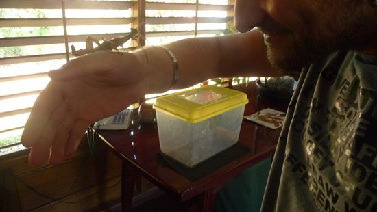 Philipp nahm so ein kleines Krabbel Tier auch mal auf den Arm...
*Tapfer* Es wollte eh nur schmusen