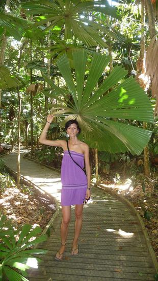 Ein Walk durch den Regenwald...