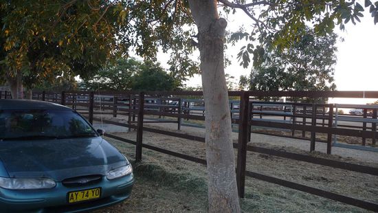 An diesem Abend hatte ADAM das Vergnügen neben einem Rodeo Platz zu schlafen!!!