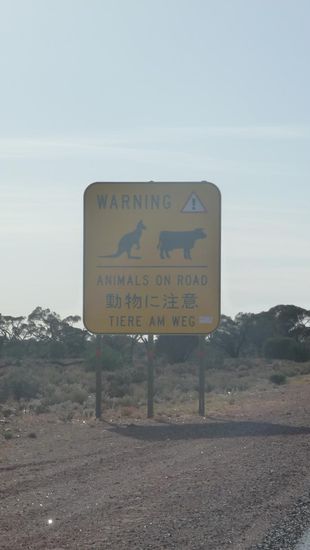 Australien denkt auch immer mal an die Deutschen Touristen,wie man bei der Übersetzung auf diesem Schild sieht!