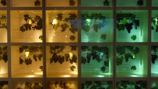 ...und einige Weinreeben