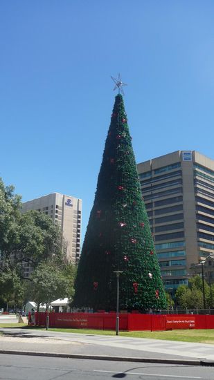 Ein riesen Baum schmückte die Stadtmitte