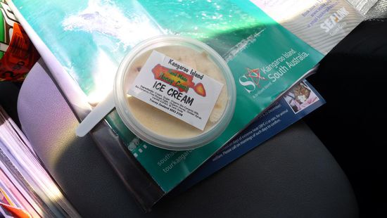 An einer Info haben wir dann mal das auf der Insel selbst produzierte Honig-Eis probiert. Mmmhhhh……