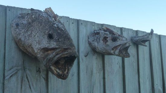 Sehr nette Begrüßung....das haben wir an einem Zaun auf einer Restarea gesehen....