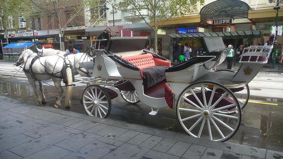 so kann man auch die Stadt erkunden