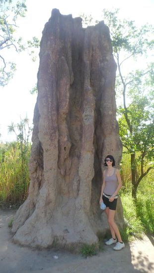 Cathedral Termite Mounds = 6m hohe Termitenhügel, es dauert ca.10 Jahre ehe sie diese Höhe erreichen