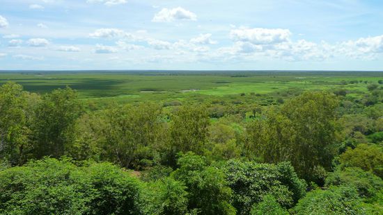 Aussicht auf die Wetlands