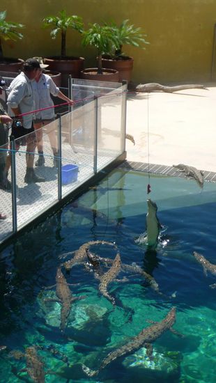 Die Kleinen waren ganz schön hungrig...