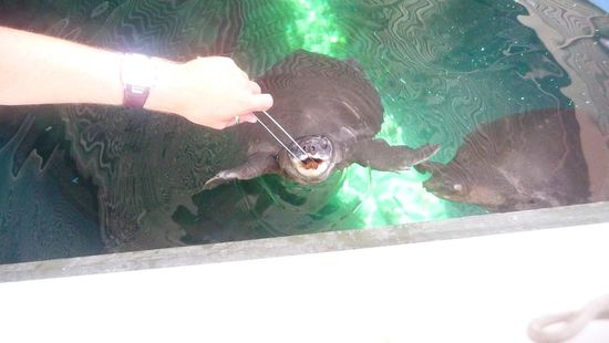 Diese durften wir dann selber füttern....