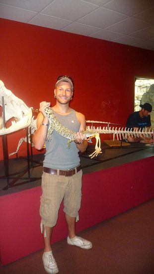 Ganz mutig haben wir uns dann auch mal so ein Kleines Croco auf den Arm genommen...