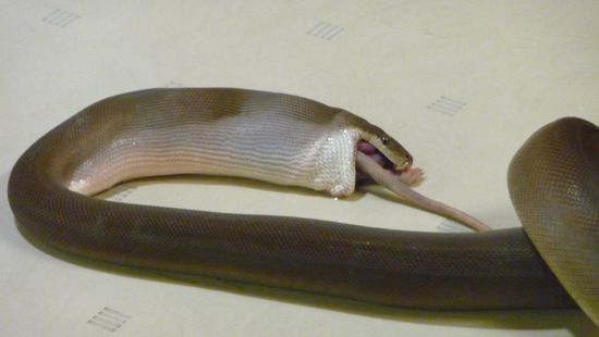 ....so Fertig....jetzt eine Woche verdauen und dann gib es das nächste....