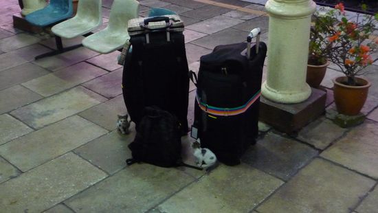 unser Gepäck wurde zwischenzeitlich von unserer Privat-Security bewacht
