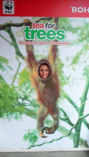 Sind wir nicht zwei süße Monkeys!!!???