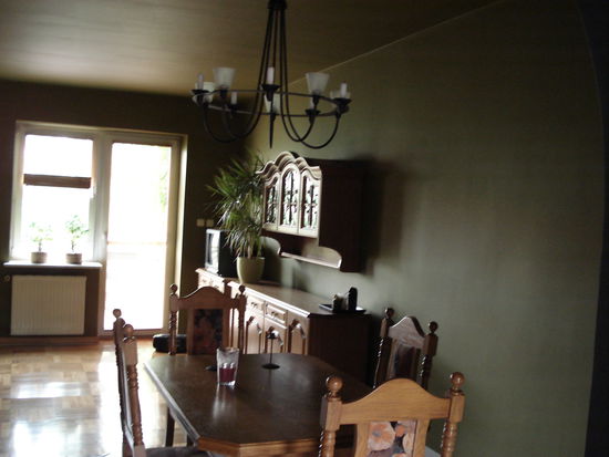 Wohnzimmer: Die Wand in der gleichen Farbe wie die Decke gestrichen: gruen.