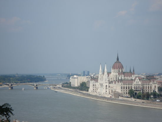 Donau mit Parlament und Szigetinsel