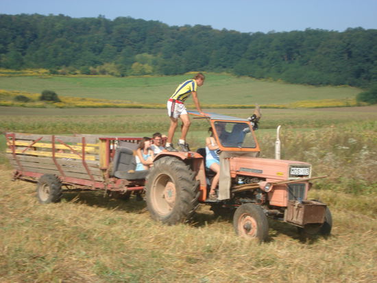Beim Strohholen vom Feld