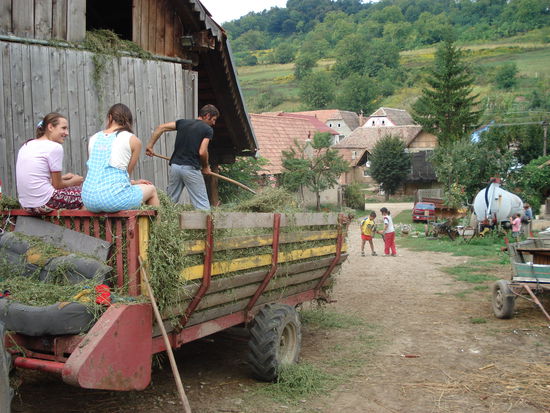 Vasile beim Heuabladen