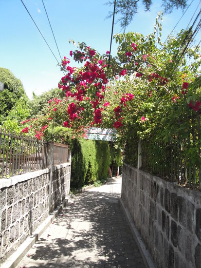 Wunderschoene Gassen mit Blumen fuehren durch San Pedro.