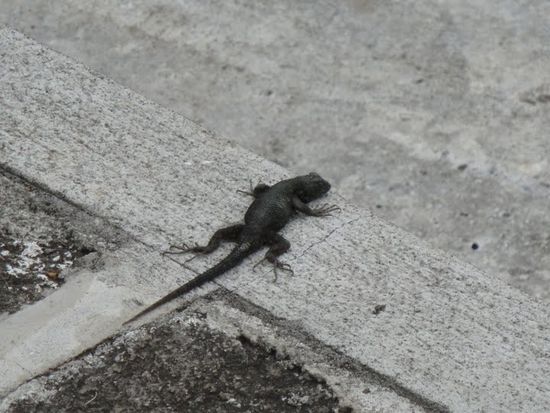 und einer fuer dich elia