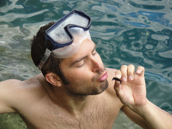 ... den er schon fast ein bisschen lieb gewonnen hat.