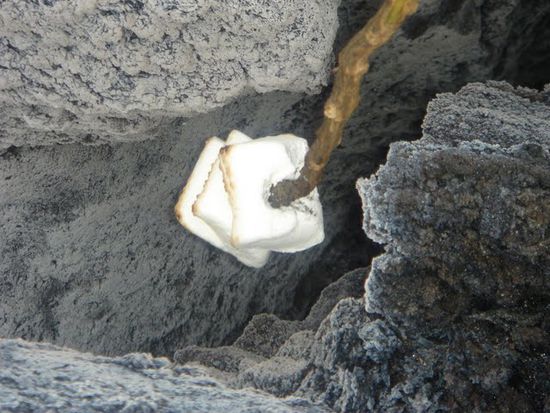 Marshmellos "braetlae"
