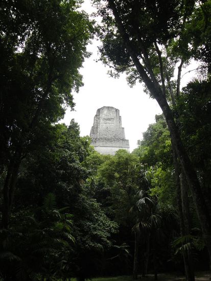 wie im "Dschungelbuch".