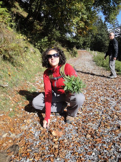 Kati sammelt Buchennüsse und Minzenblätter