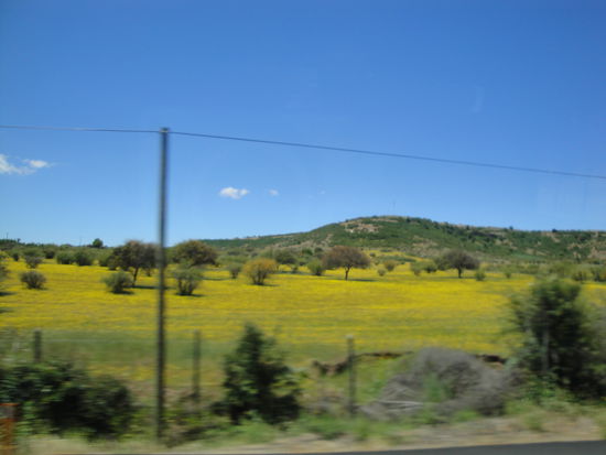 Vorbei an wunderschönen Frühlingswiesen.