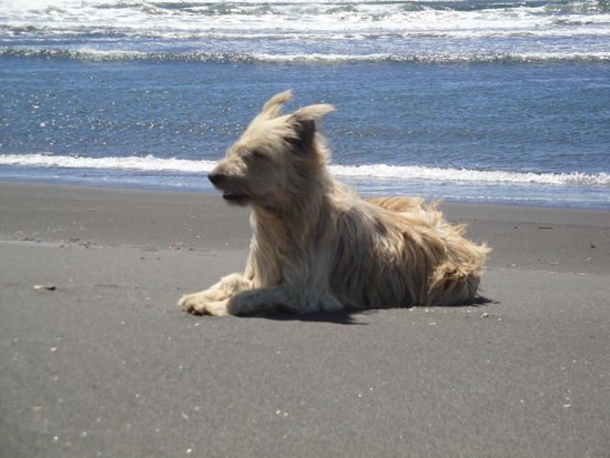 Na, da weht's aber jemandem ganz schön heftig die Haare durch den Wind...