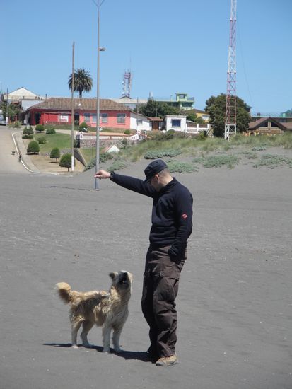 Jetzt hol doch das Stöckchen, das ich dir da drüben hingeworfen habe!
